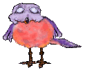 +bird+animal+ clipart