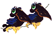 +bird+animal+ clipart