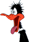 +bird+animal+ clipart