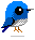 +bird+animal+ clipart