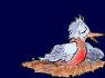 +bird+animal+ clipart