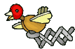 +bird+animal+ clipart