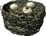 +bird+animal+birds+nest+s+ clipart