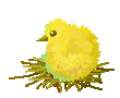 +bird+animal+chick+on+nest+s+ clipart