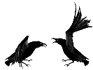 +bird+animal+crows+s+ clipart