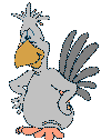 +bird+animal+dodo++ clipart