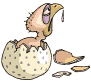 +bird+animal+dodo++ clipart