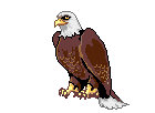 +bird+animal+eagle+with+muscles+s+ clipart