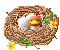 +bird+animal+nest+with+chick+s+ clipart