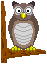 +bird+animal+owl++ clipart