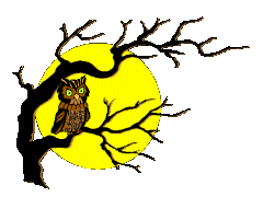+bird+animal+owl++ clipart