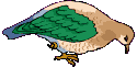 +bird+animal+pidgeon+s+ clipart