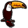 +bird+animal+toucan+s+ clipart