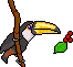 +bird+animal+toucan+s+ clipart