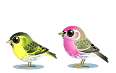 +bird+animal+yellow+and+pink+bird+s+ clipart