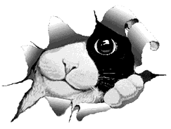 +animal++ clipart