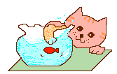 +animal+cat+and+goldfish+bowl++ clipart