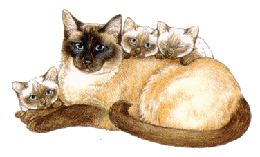 +animal+cat+and+kittens++ clipart