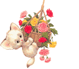 +animal+cat+swinging+on+a+basket+of+flowers++ clipart