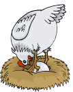 +animal+farm+bird+hen+on+nest+with+egg++ clipart
