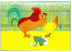 +animal+farm+bird+rooster+throttling+hen+with+elephant+in+egg++ clipart