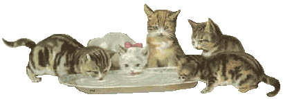 +animal+kittens+and+tray+of+milk++ clipart