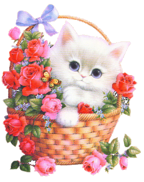 +animal+white+cat+in+basket++ clipart