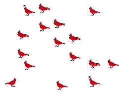 +bird+Cardinals+Animation+ clipart