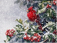 +bird+Snow+Scene+Cardinal+Animation+ clipart