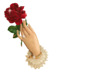 +cosmetics+hand+with+rose++ clipart