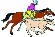 +country+rodeo+ridern+s+ clipart