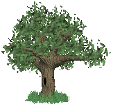 +plant+nature+old+tree++ clipart