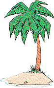 +plant+nature+palm+tree++ clipart