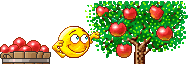 +plant+nature+picking+apples++ clipart