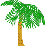 +plant+nature+waving+palm+tree++ clipart