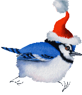 +xmas+holiday+religious+blue+bird+in+christmas+hat++ clipart