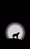 +animal+howl+dog+canine+howling+wolf++ clipart