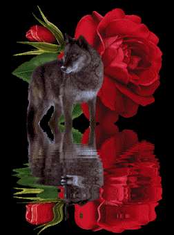 +animal+howl+dog+canine+wolf+and+roses++ clipart