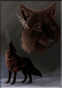 +animal+howl+dog+canine+wolf++ clipart
