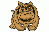 +bulldog+ clipart