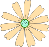 +flower+blossom+ clipart