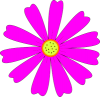 +flower+blossom+ clipart