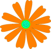 +flower+blossom+ clipart
