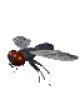 +flying+bug+animation+ clipart