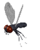 +flying+bug+animation+ clipart