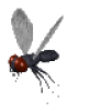 +flying+bug+animation+ clipart