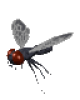 +flying+bug+animation+ clipart