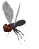 +flying+bug+animation+ clipart