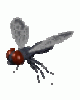 +flying+bug+animation+ clipart