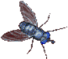 +flying+bug+animation+ clipart